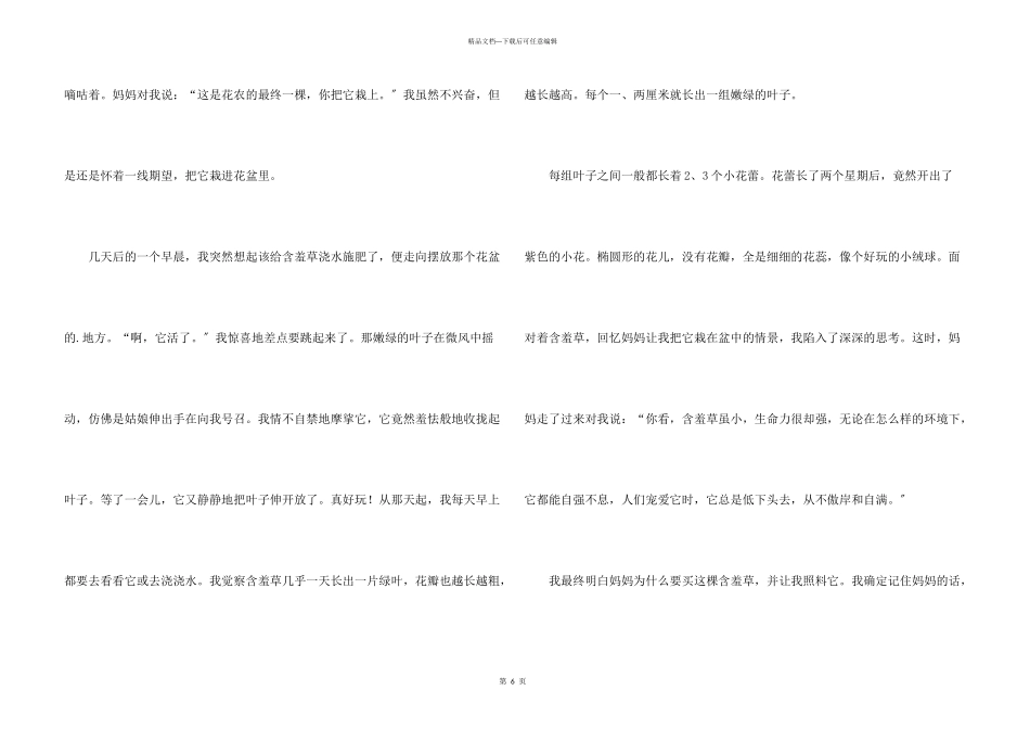 含羞草状物5篇_第3页