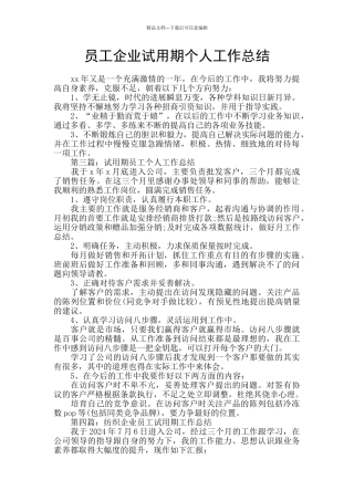 员工企业试用期个人工作总结
