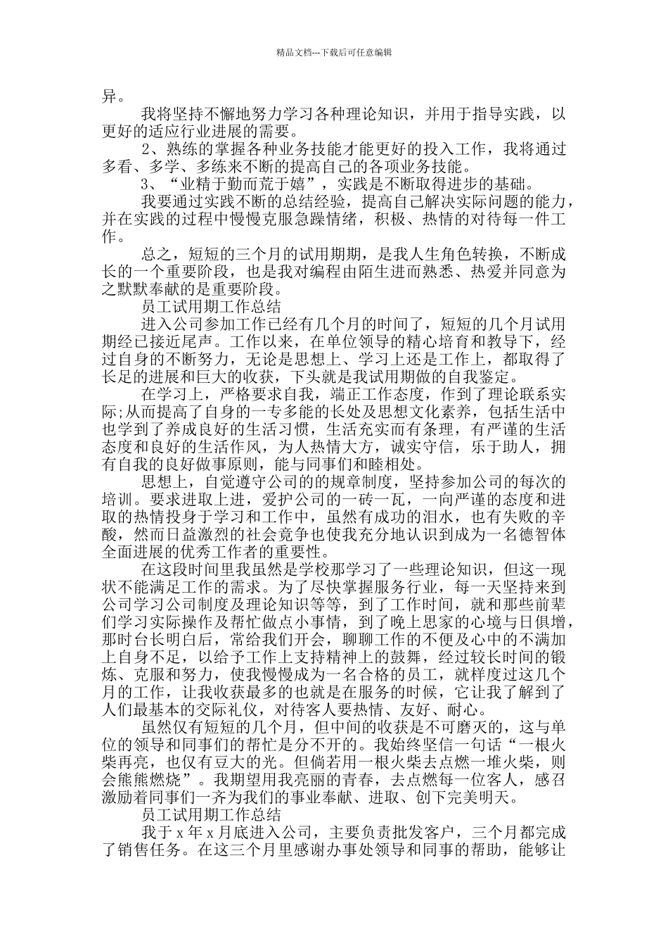 员工试用期工作总结_第2页