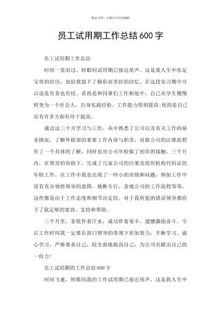 员工试用期工作总结600字