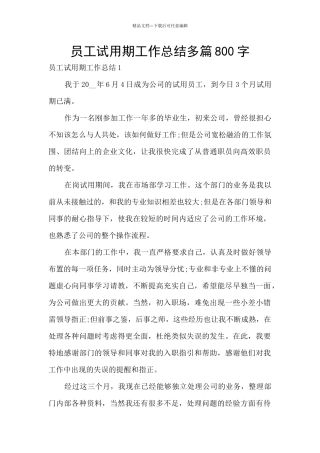 员工试用期工作总结多篇800字