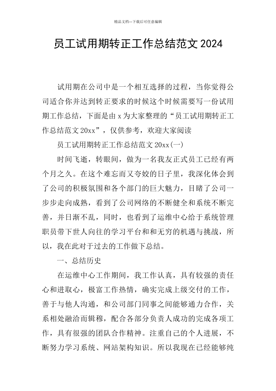 员工试用期转正工作总结范文2024_第1页