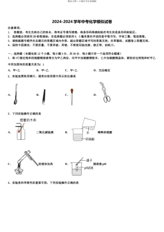 商丘市重点中学中考化学最后冲刺模拟试卷含解析