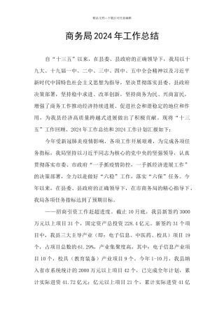 商务局2024年工作总结