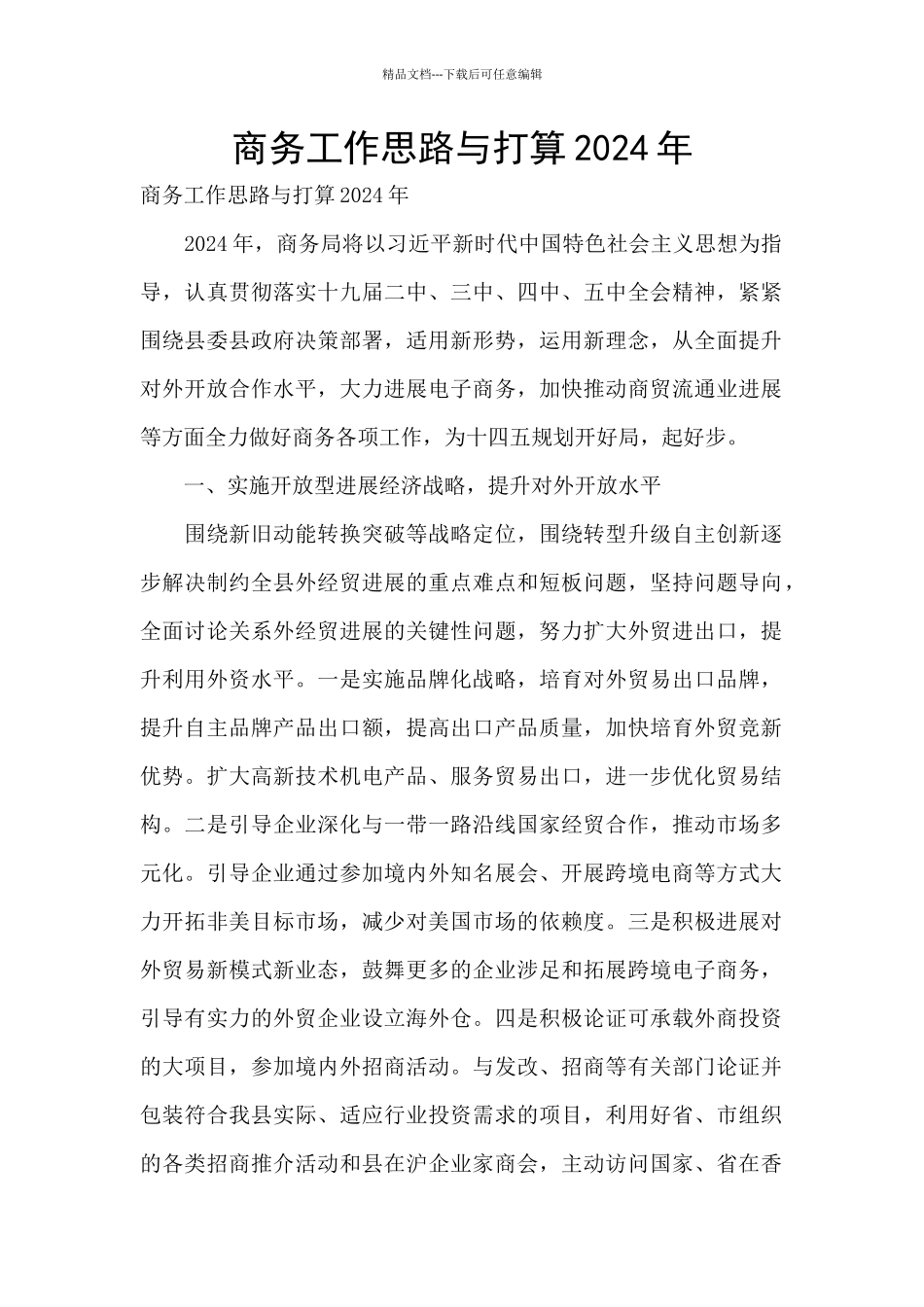 商务工作思路与打算2024年_第1页