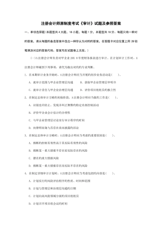 2025年注册会计师全国统一考试审计试题及答案解析原