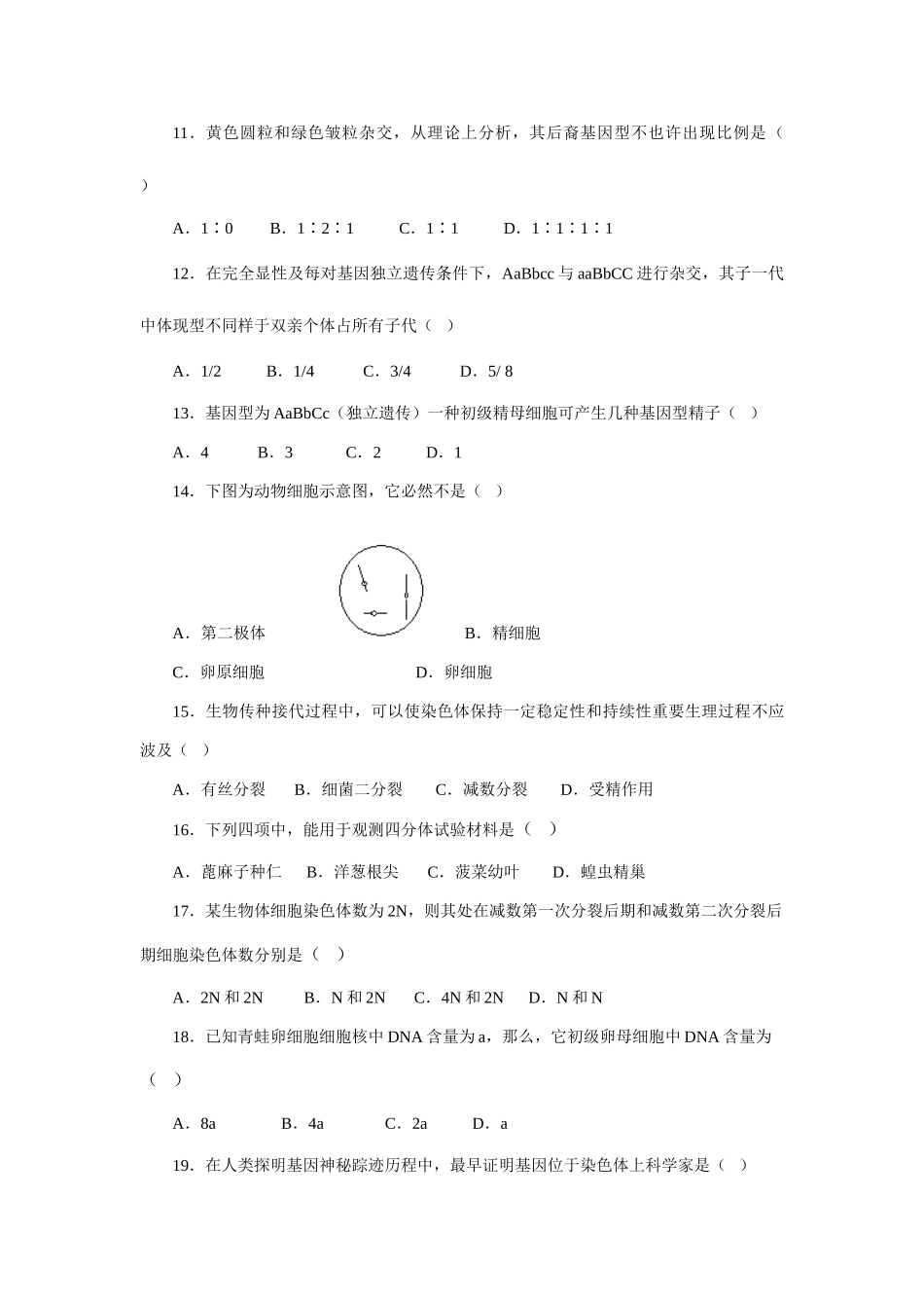 2025年普通高中学业水平测试生物单元卷减数分裂与遗传规律_第3页