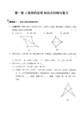 2025年新北师大版八年级下册三角形的证明知识点归纳与复习