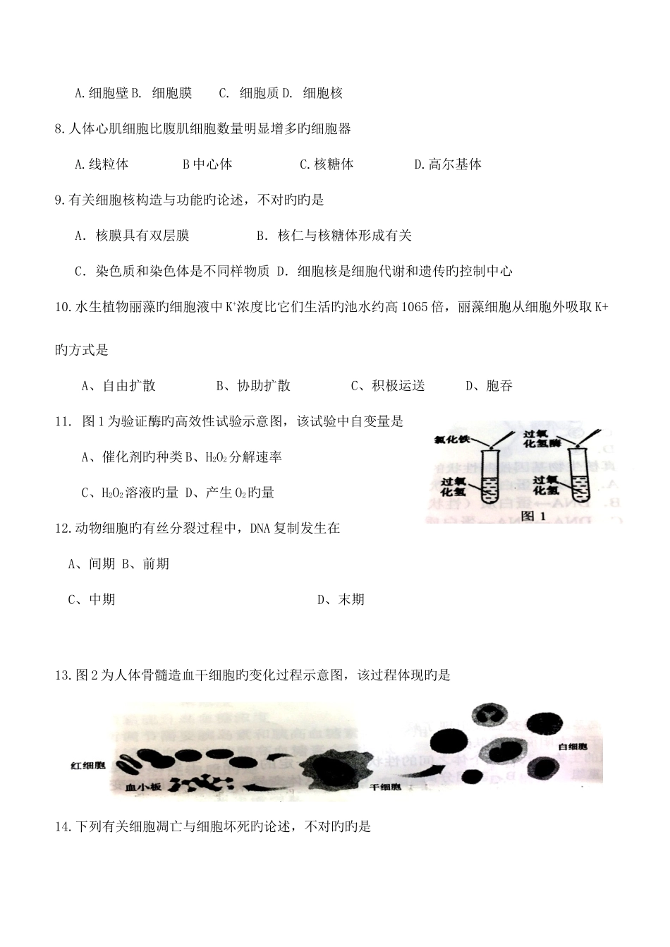 2025年普通高中学业水平考试生物试卷档附答案_第2页