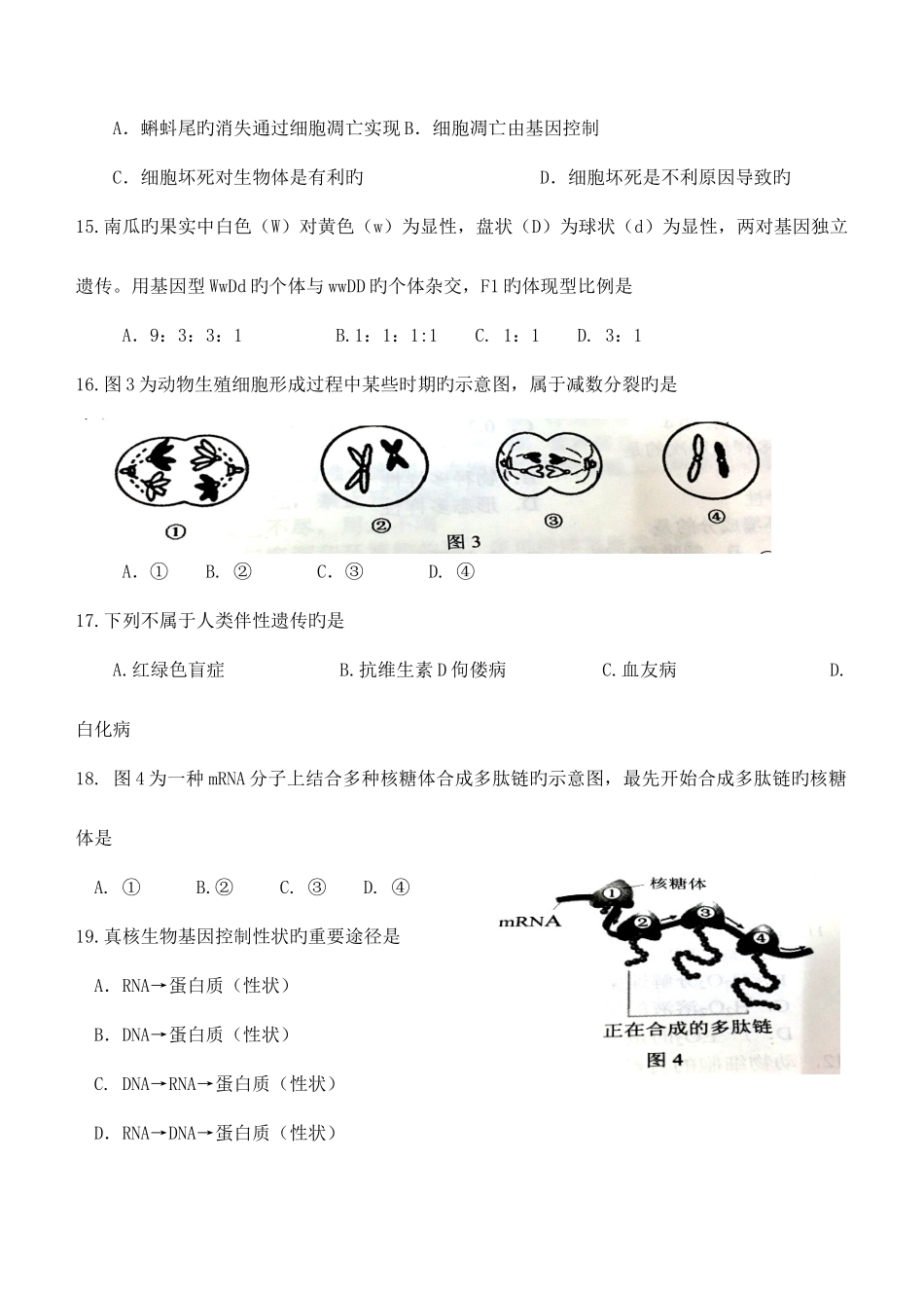 2025年普通高中学业水平考试生物试卷档附答案_第3页