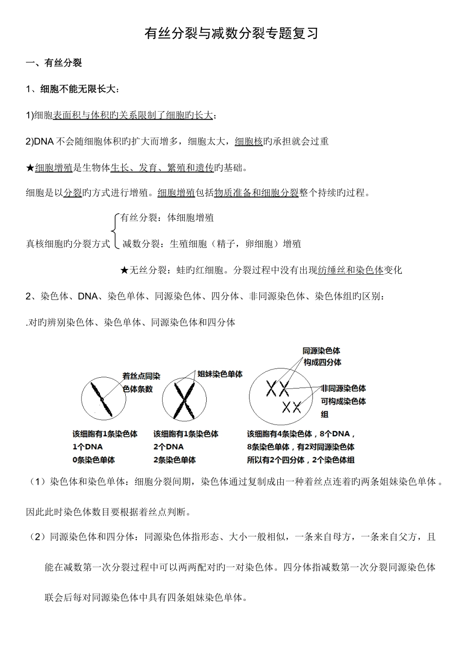 2025年有丝分裂知识点_第1页
