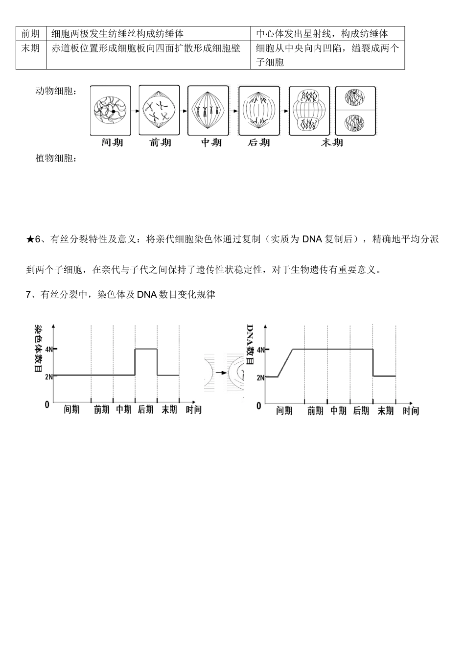 2025年有丝分裂知识点_第3页