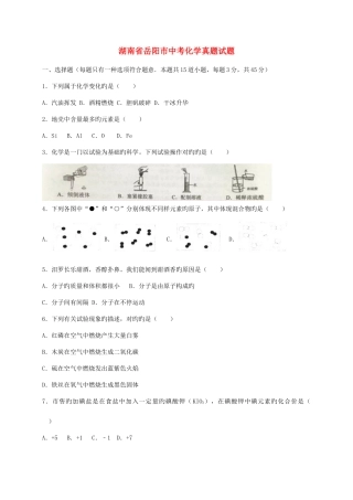 2025年湖南省岳阳市中考化学模拟真题试题含解析