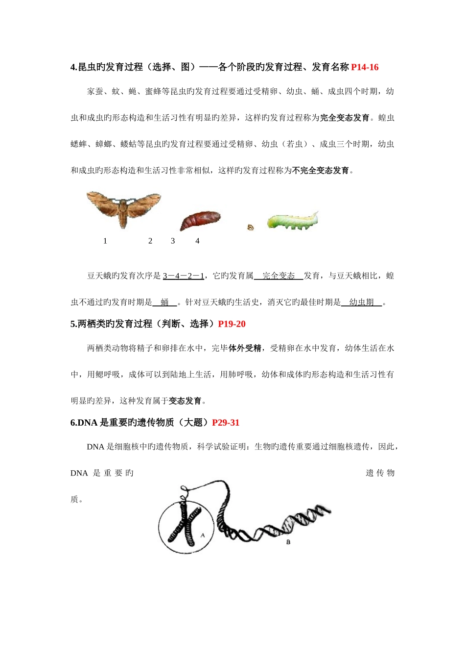 2025年生物中考知识考点上下册人教版全套_第2页