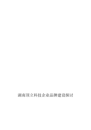 2025年湖南顶立科技公司品牌建设探讨品牌大作业