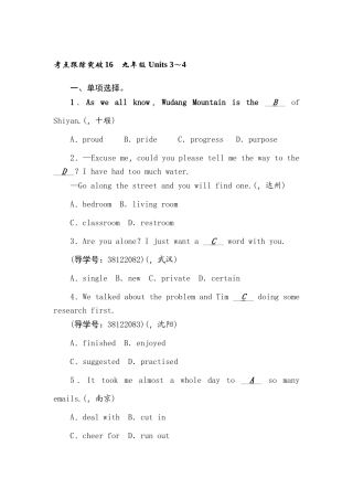 2025年中考英语考点跟踪突破检测