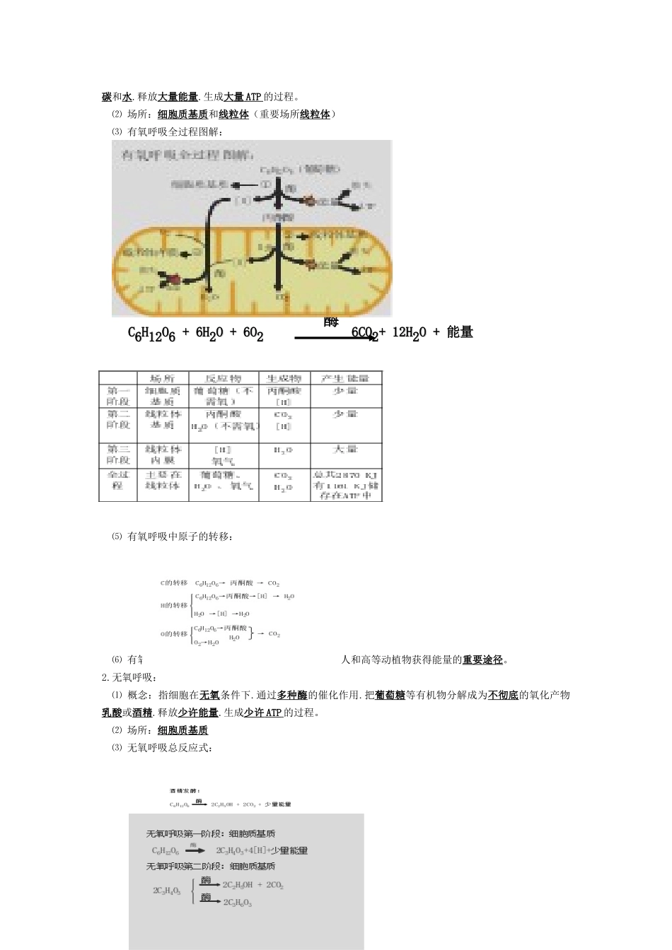 2025年高中生物必修一第五章细胞的能量供应和利用知识点教学文案_第2页