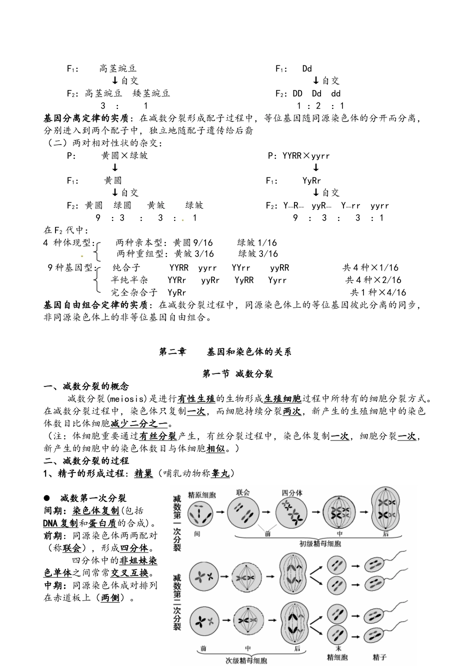 2025年高考生物必修二考点归纳培训讲学_第3页