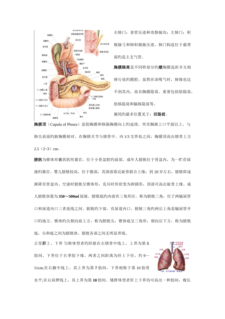 2025年病理学技术考试知识点及回顾_第2页
