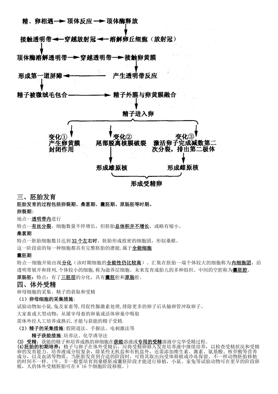 2025年高中生物专题3《胚胎工程》知识点讲课教案_第2页