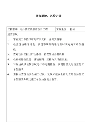 2025年总监理工程师周检巡检记录