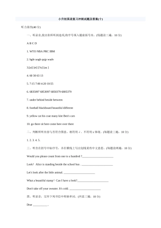 2025年小升初英语复习冲刺试题十