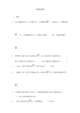 2025年小学北师大版六年级数学小升初比和比例综合练习试卷