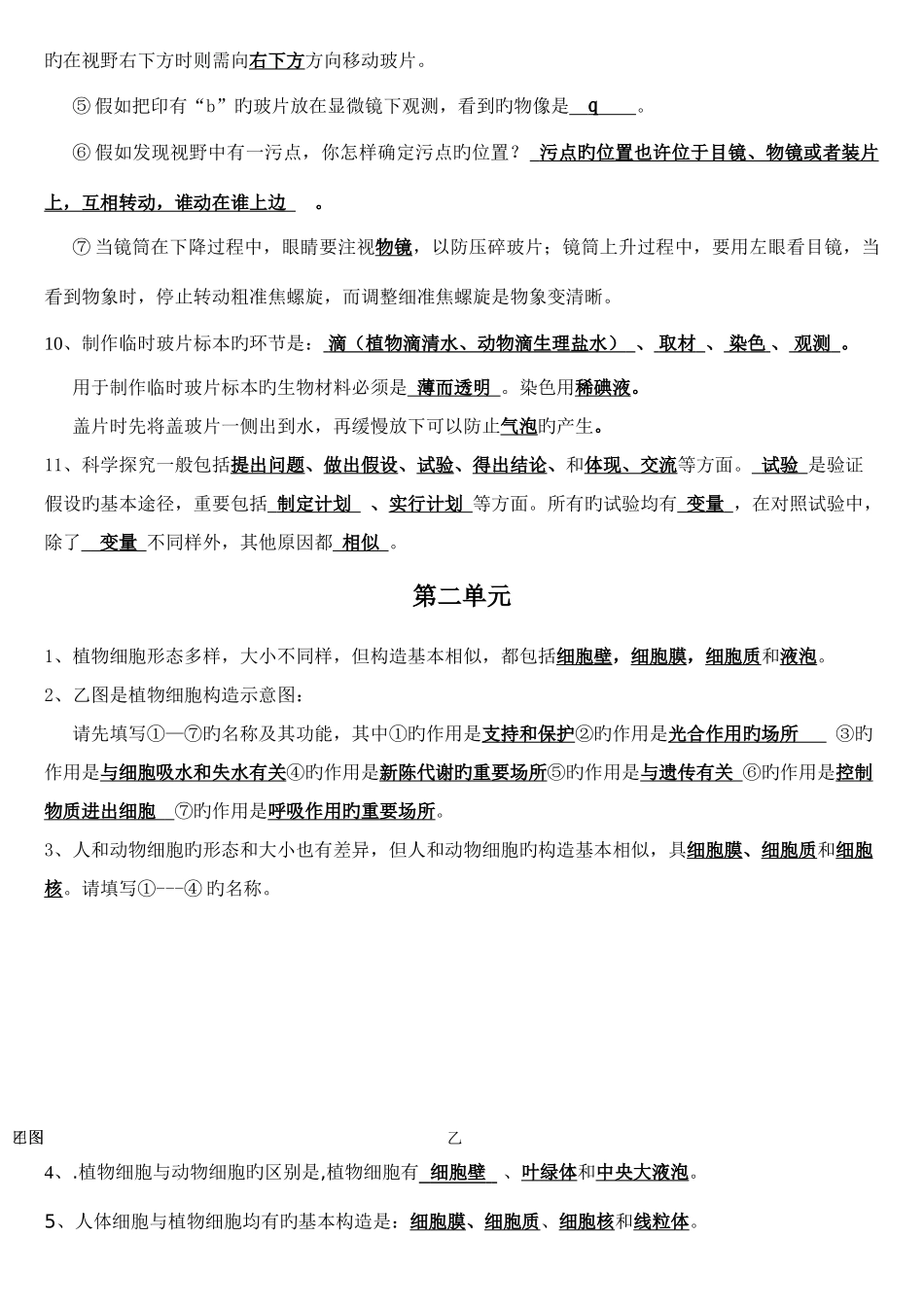 2025年苏教版七年级生物上学期知识点总结_第2页