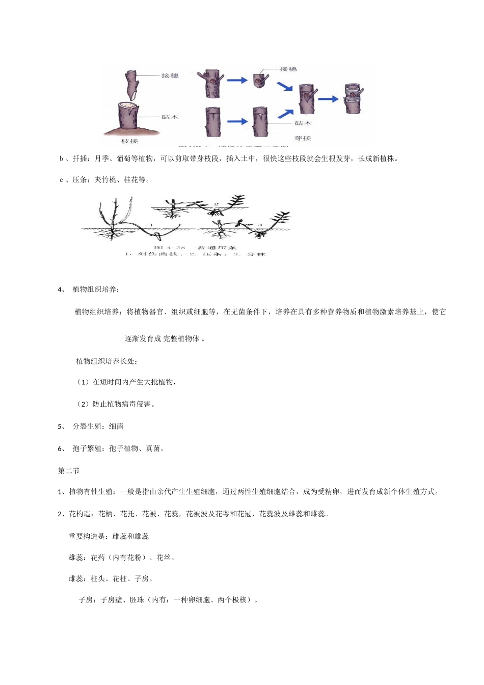 2025年苏教版八上生物知识归纳_第2页