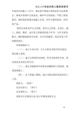 专业负责人服务承诺书