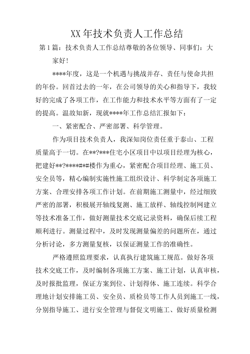 XX年技术负责人工作总结_第1页