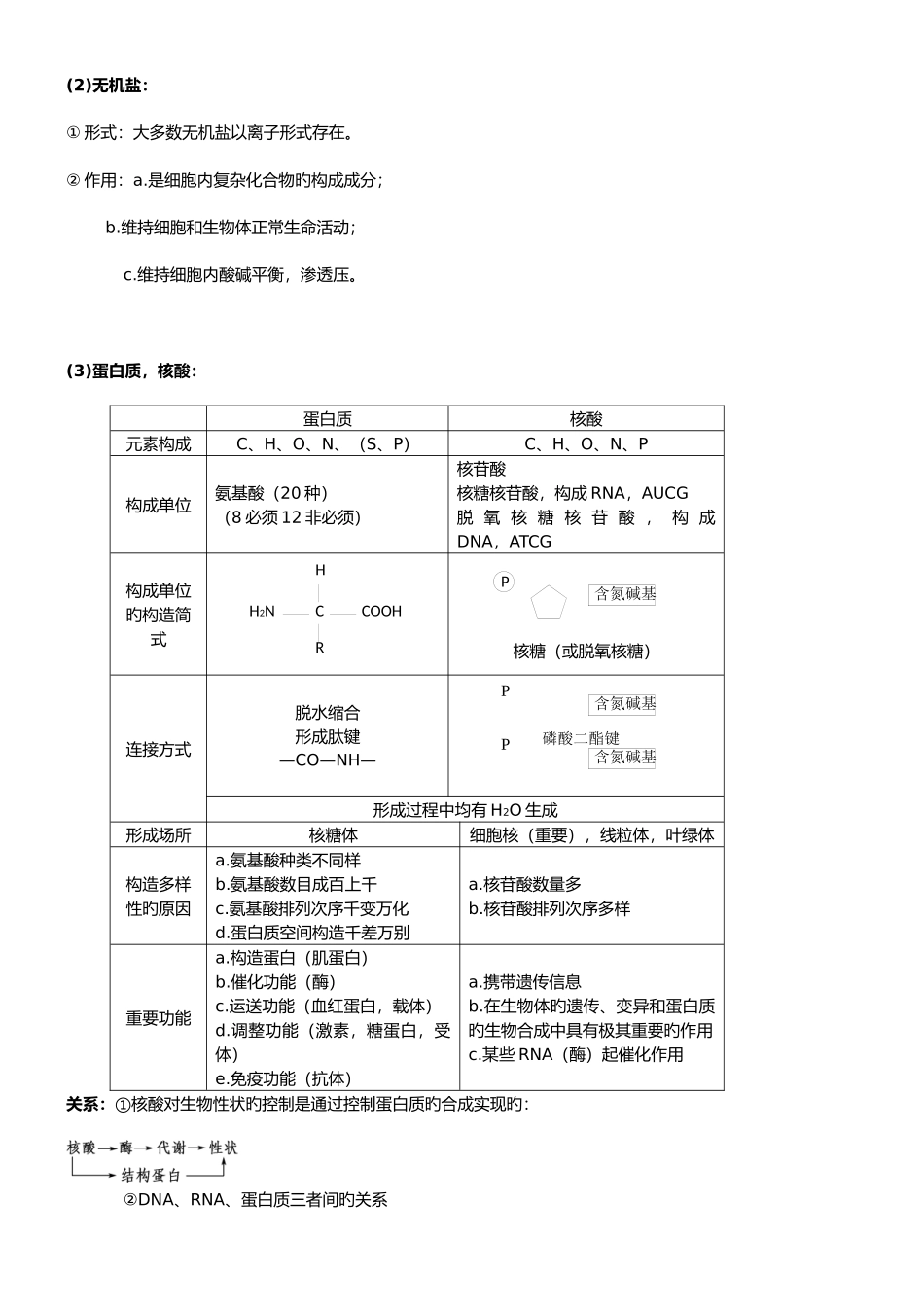 2025年生物二轮复习知识点总结专题一_第2页