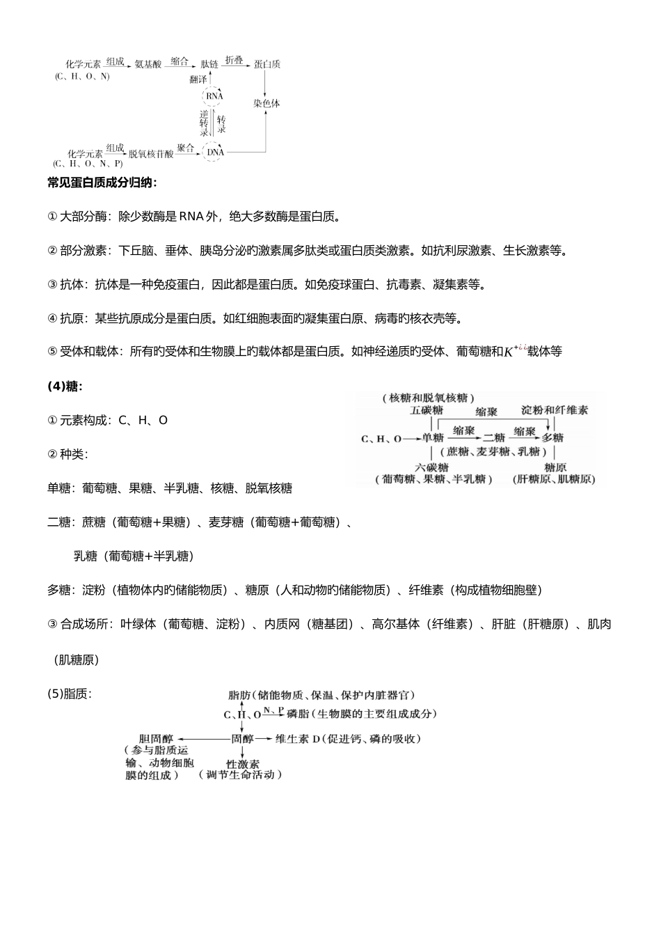 2025年生物二轮复习知识点总结专题一_第3页