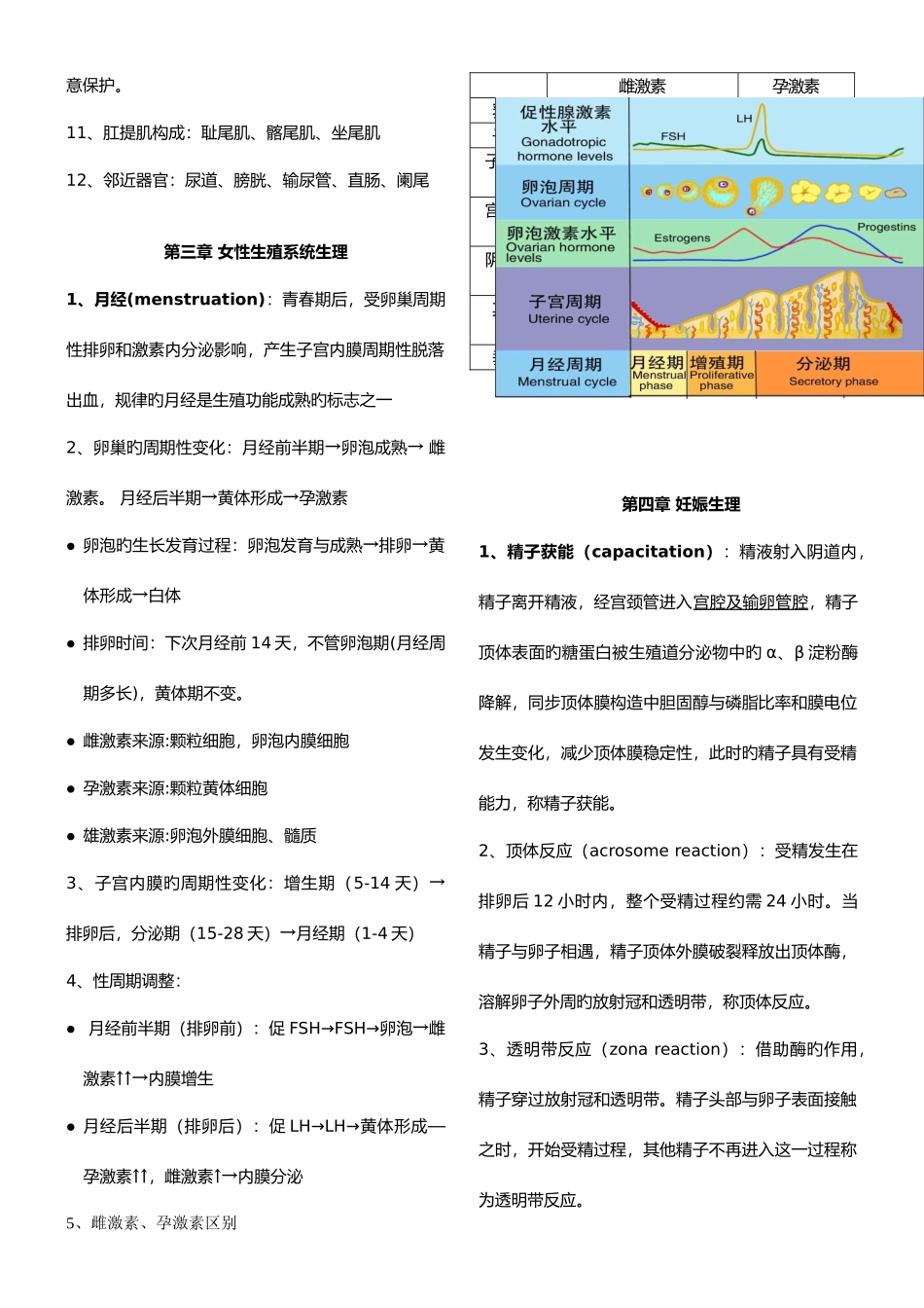 2025年妇产科复习笔记整理终结版_第2页