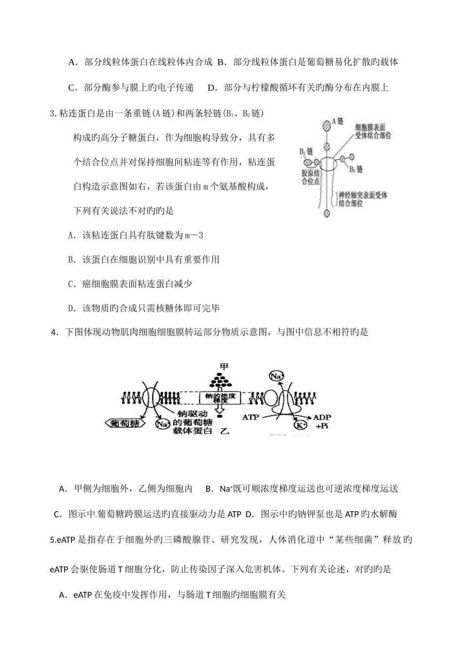 2025年生物竞赛模拟试卷_第2页