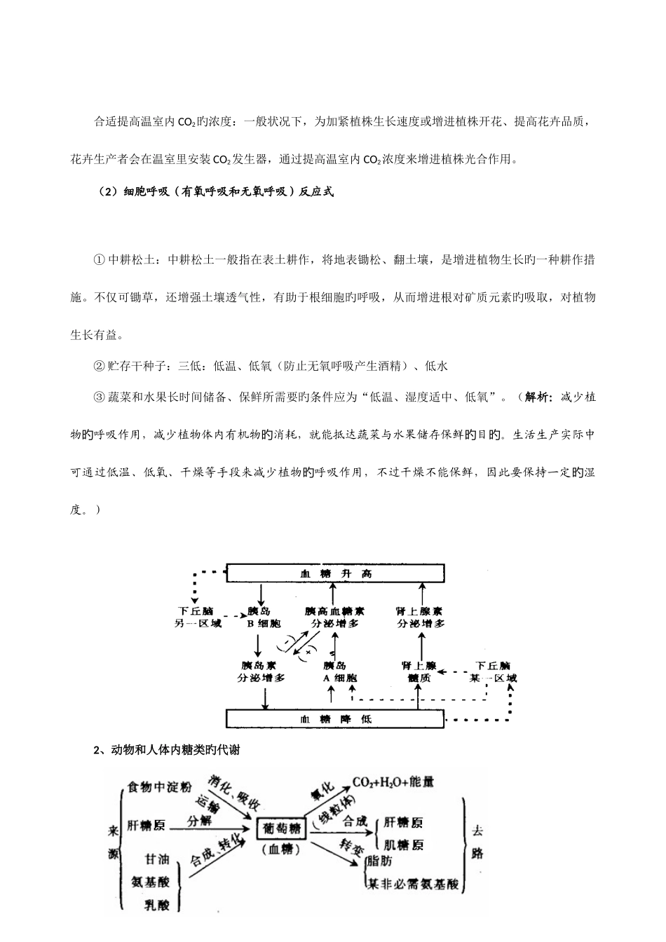 2025年糖类知识归纳知识练习答案_第3页