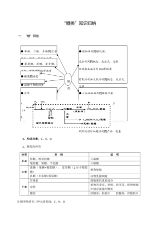 2025年糖类知识归纳知识练习答案