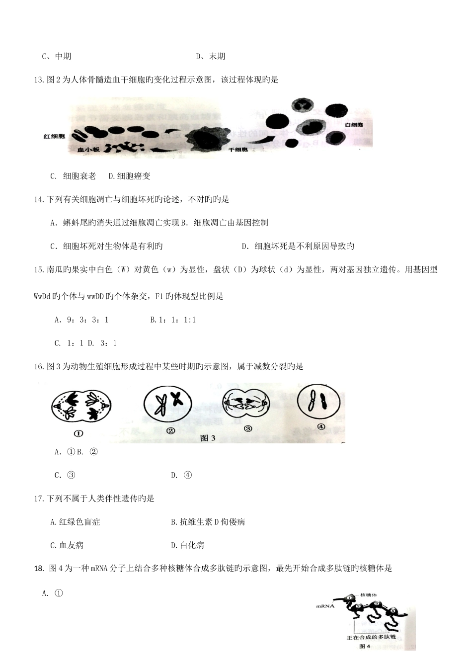 2025年湖南省普通高中学业水平考试生物试卷档附答案_第3页