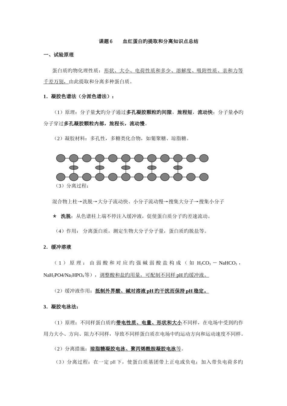 2025年血红蛋白的提取和分离知识点总结_第1页