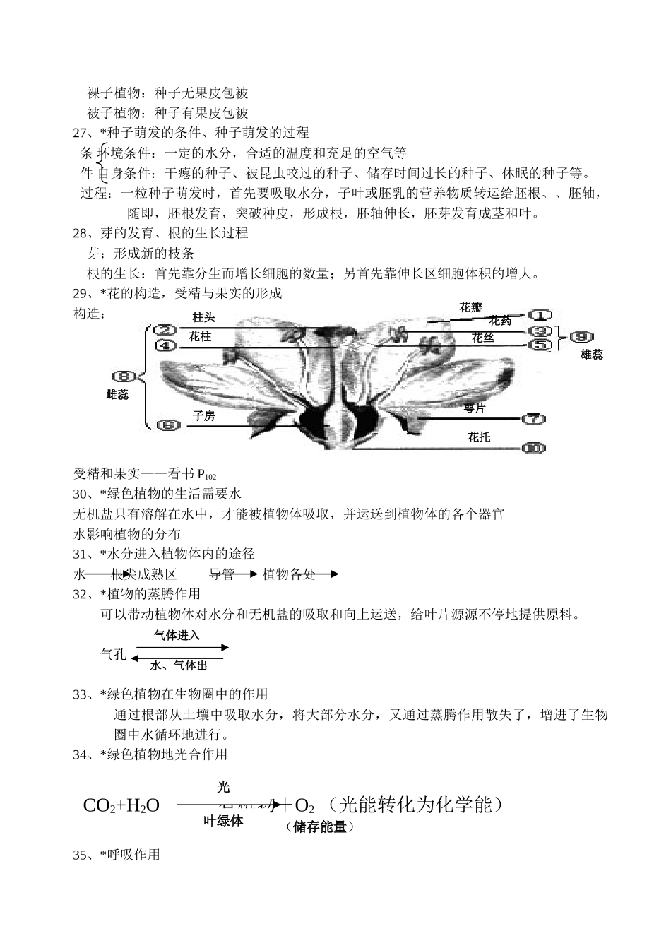 2025年初中七级生物上册知识点总结15270演示教学_第3页