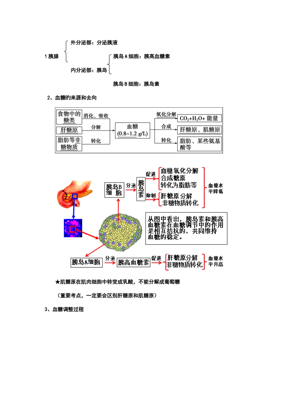 2025年通过激素的调节知识点笔记_第2页