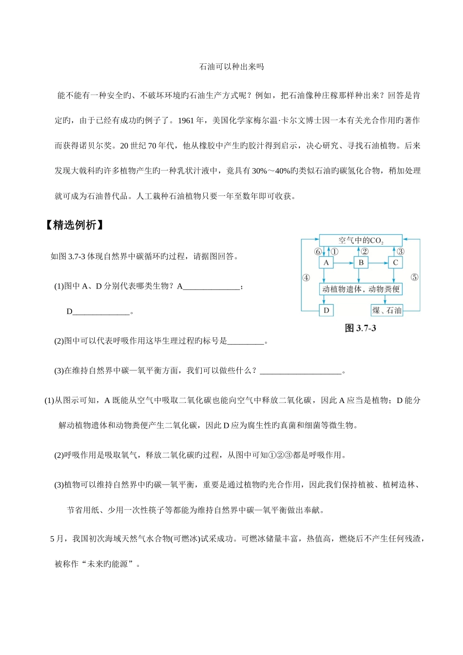 2025年自然界中的氧循环和碳循环重点归纳与精析提升含解析_第2页