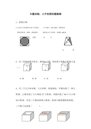 2025年小升初数学图形专题训练