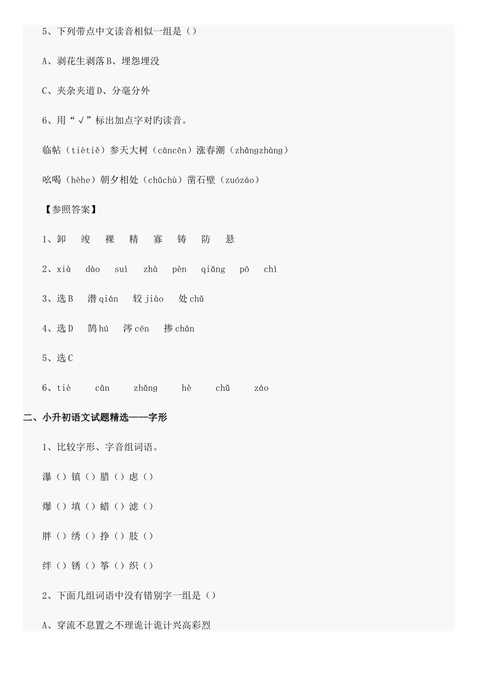 2025年小升初语文总复习资料汇总_第2页