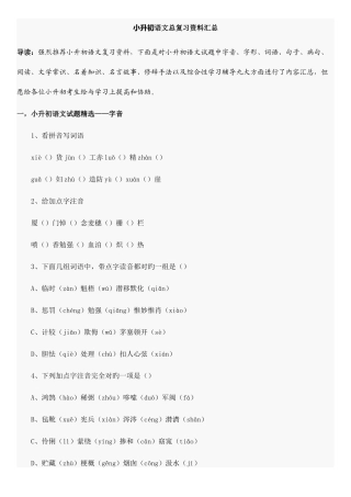 2025年小升初语文总复习资料汇总