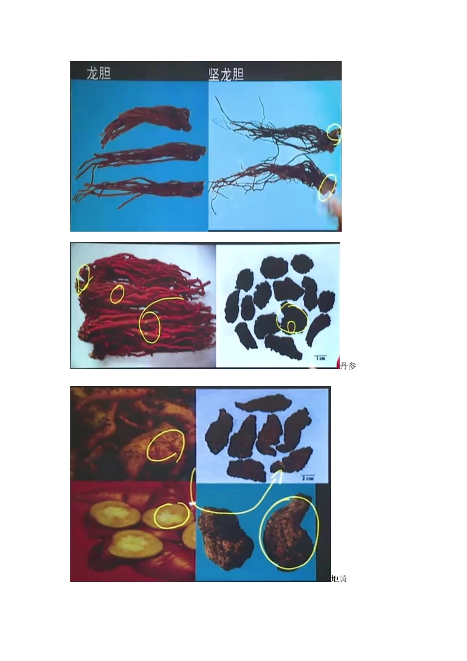 2025年执业药师药一中药药材图片_第2页