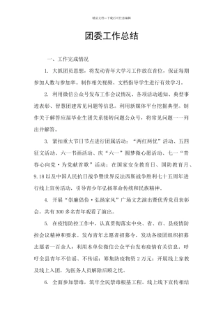 团委工作总结