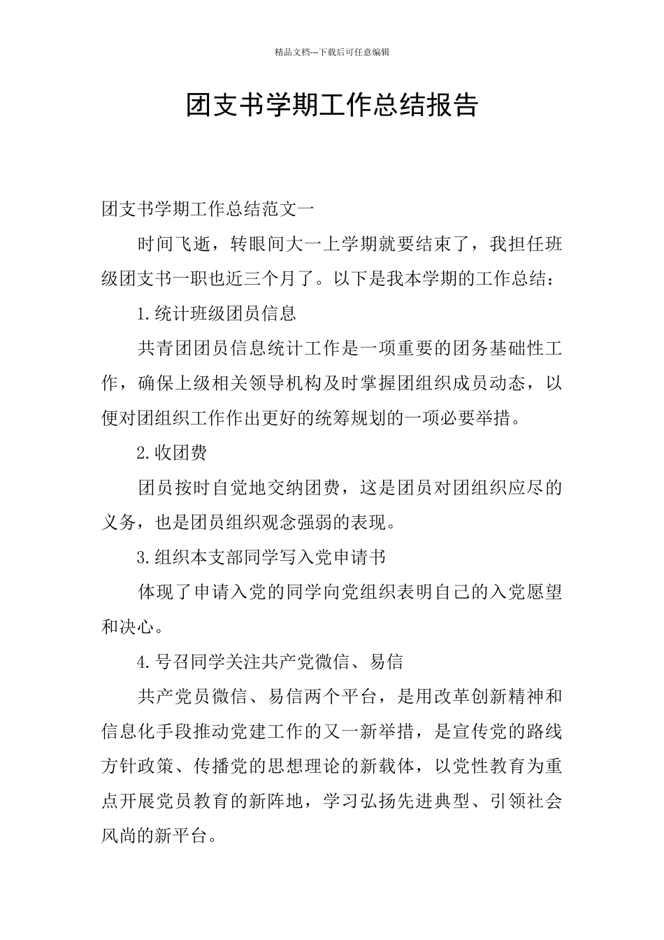 团支书学期工作总结报告_第1页