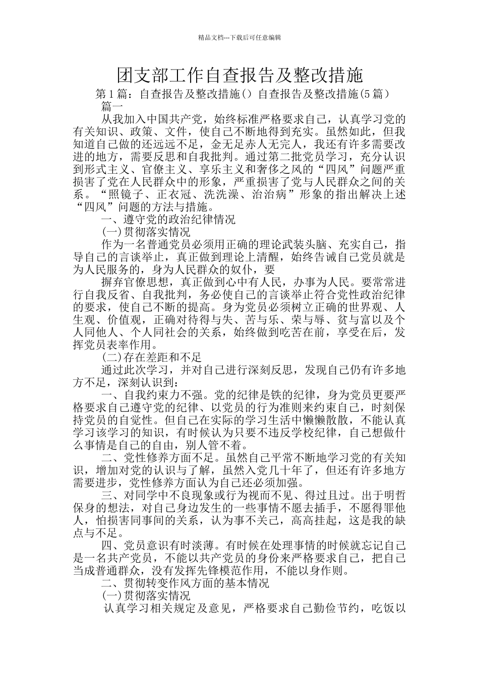 团支部工作自查报告及整改措施_第1页