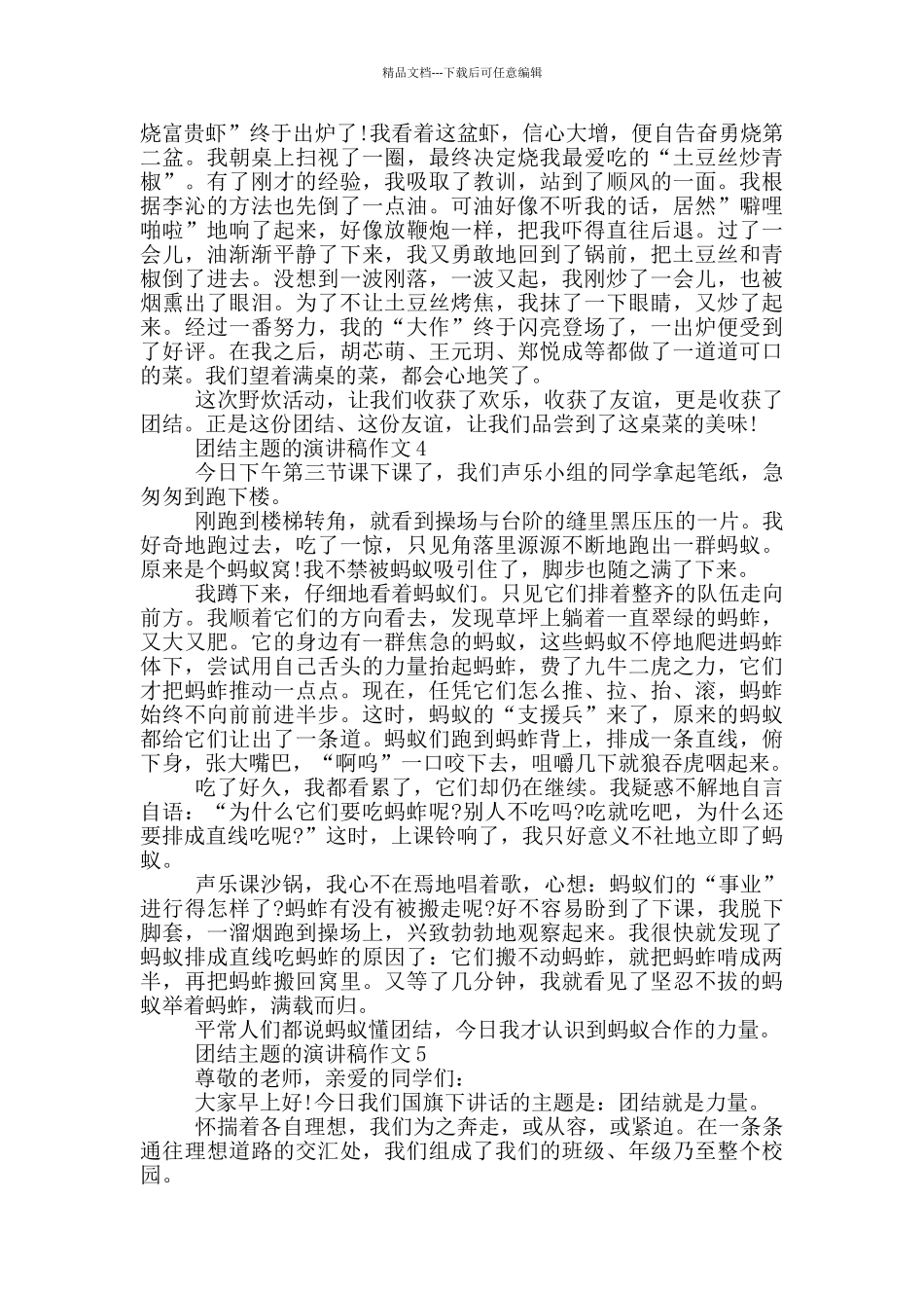 团结主题的演讲稿作文5篇_第3页